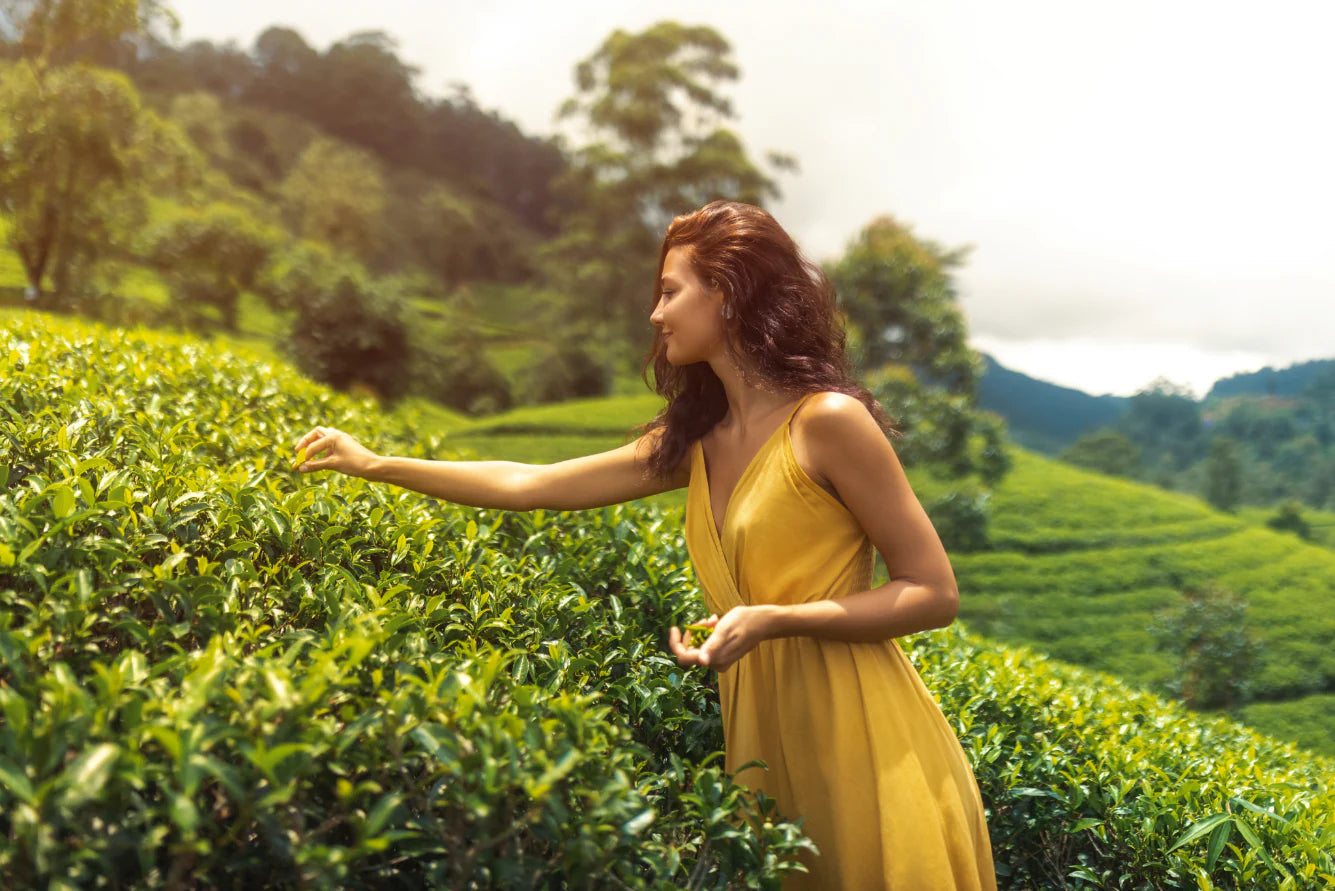Glow Up from the Inside Out: Tea, Skin & Hormone Balance Explained